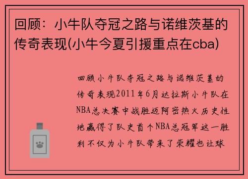 回顾：小牛队夺冠之路与诺维茨基的传奇表现(小牛今夏引援重点在cba)