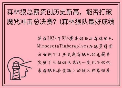 森林狼总薪资创历史新高，能否打破魔咒冲击总决赛？(森林狼队最好成绩)